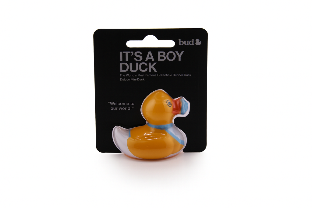 Deluxe Mini Its A Boy Duck