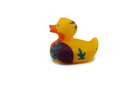 Luxury Cut Outs Duck