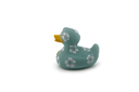 Luxury Holiday Duck