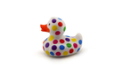 Luxury Pop Dot Duck