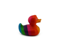 Luxury Rainbow Duck