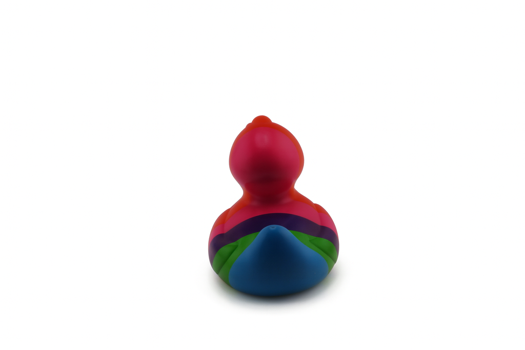 Luxury Rainbow Duck