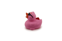 Skateboarding Duck Pink