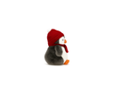 Penguin With Red  Hat Small