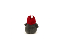 Penguin With Red  Hat Small