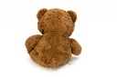 White Heart Brown bear Big