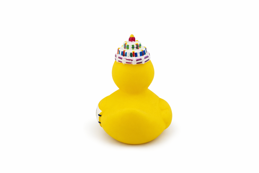 Birthday Duck