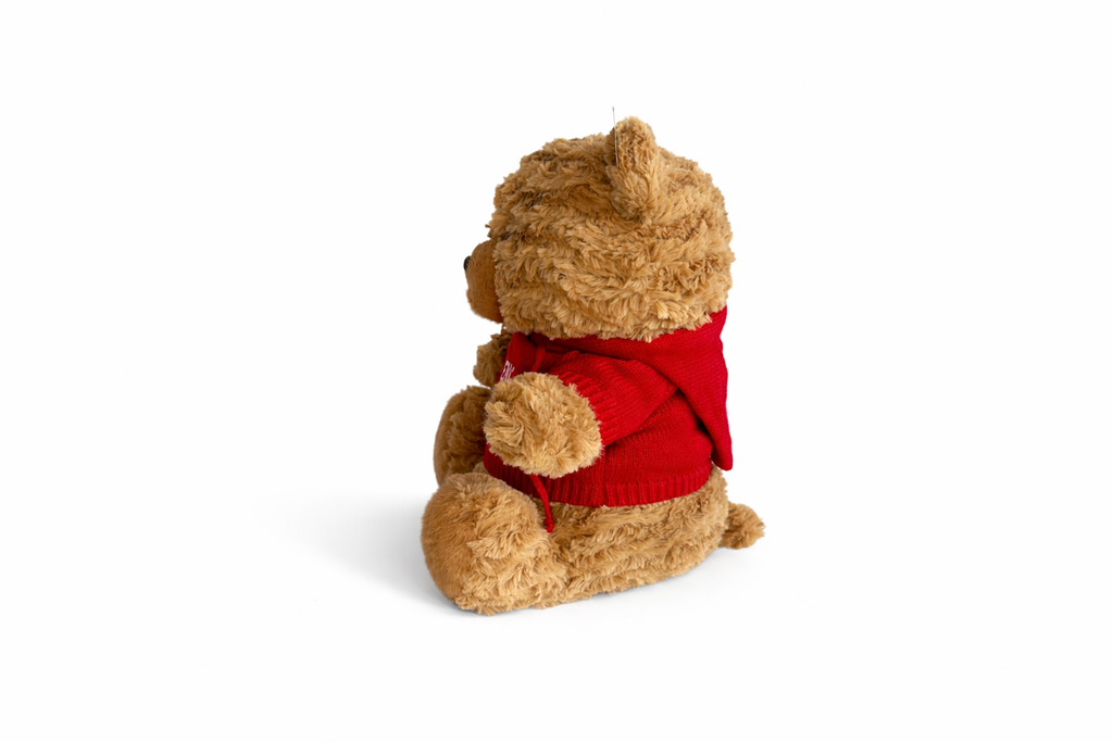 Plush Teddy Big - I♥Venice