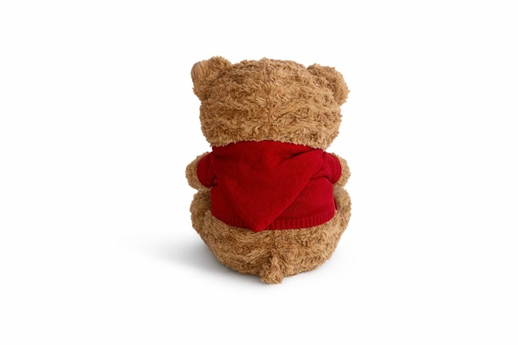 Plush Teddy Big - I♥Venice