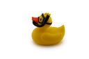 Diving Duck Yellow