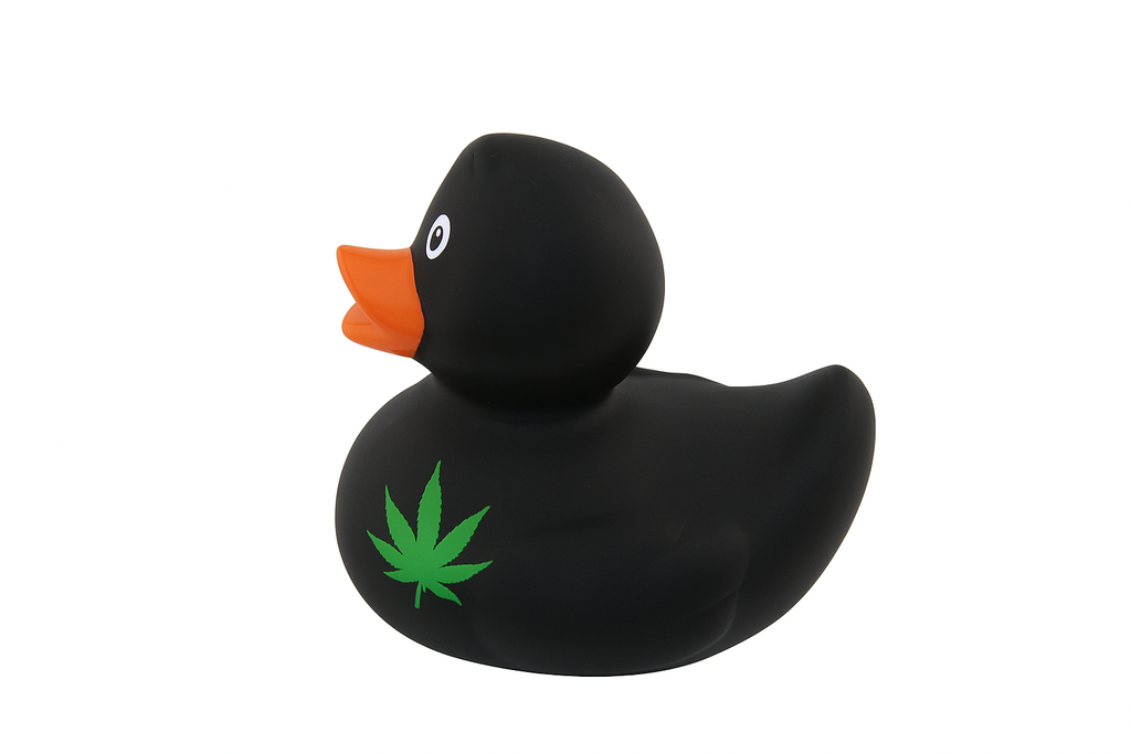 Black Duck With Weed