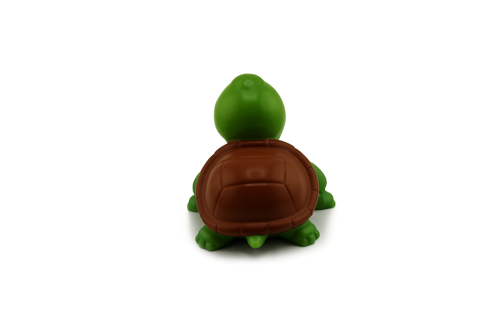 Little Turtle