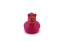 Unicorn Pink Small