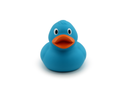 Standard Duck Turquoise