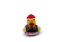 Black Forest Duck