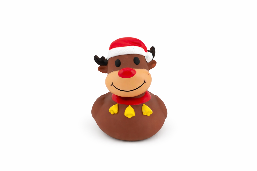 Christmas Duck