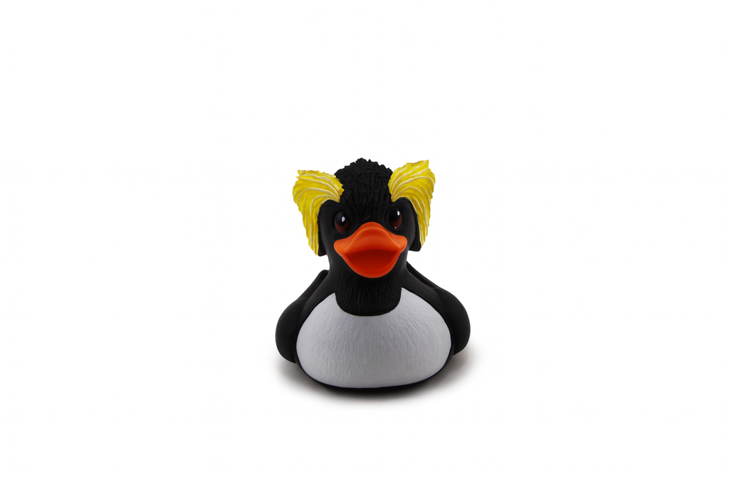 PENGUIN WR