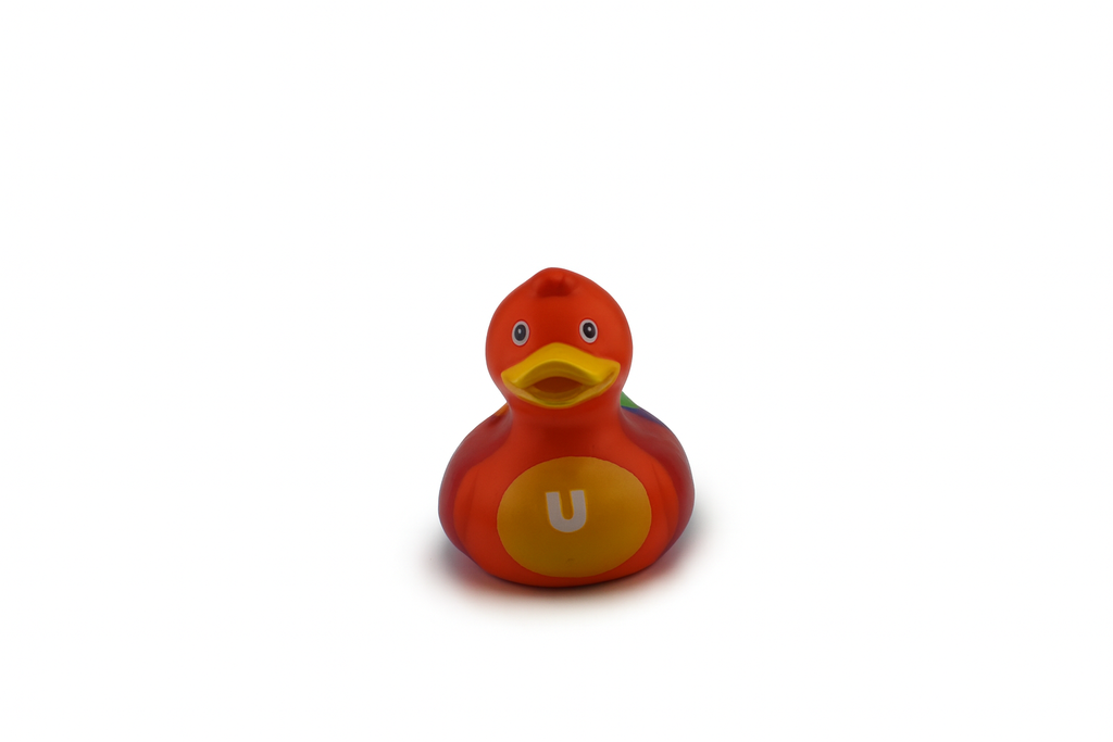 Luxury Mini Rainbow Duck