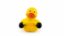 UFC Duck