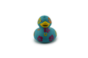 Luxury Hawaiian Duck