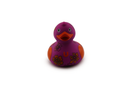 Luxury Friendship Duck