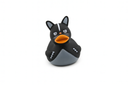 Cat Duck