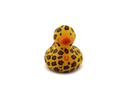 Luxury Lush Leopard Duck