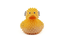 PUFFER FISH WL