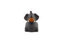 Elephant WL.