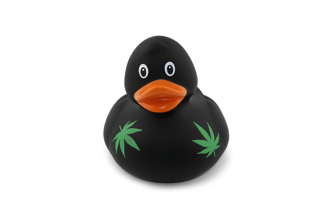 Black Duck With Weed
