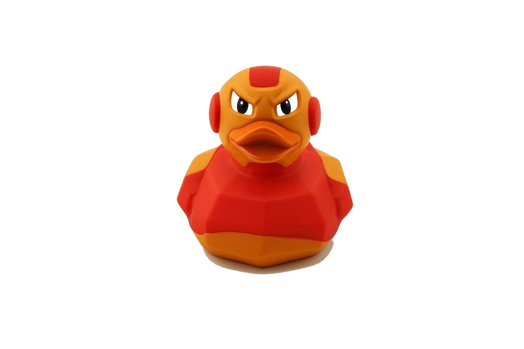 Iron Duck