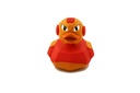 Iron Duck