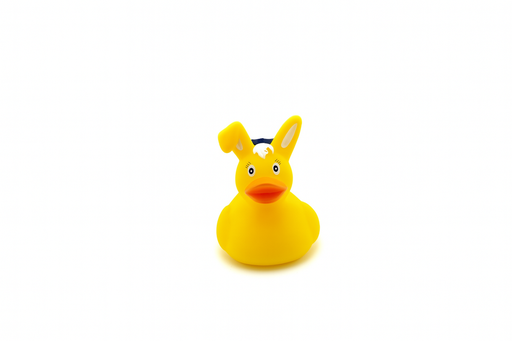 [RBDD0051] Bunny Duck