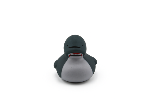 Shark Small