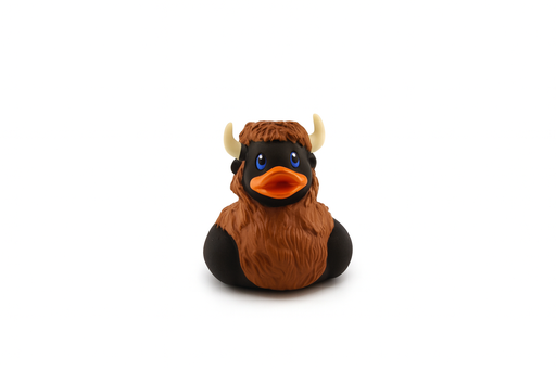 BISON WR