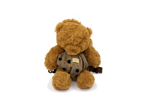 [PLDD0001] Bear BackPack