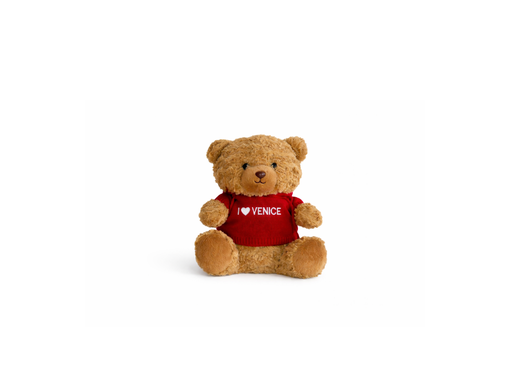 [PLDD0031] Plush Teddy Small - I♥Venice