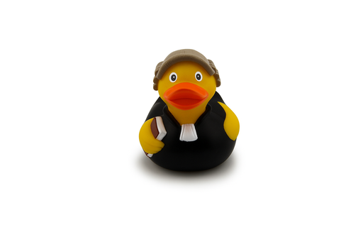 Lawyer