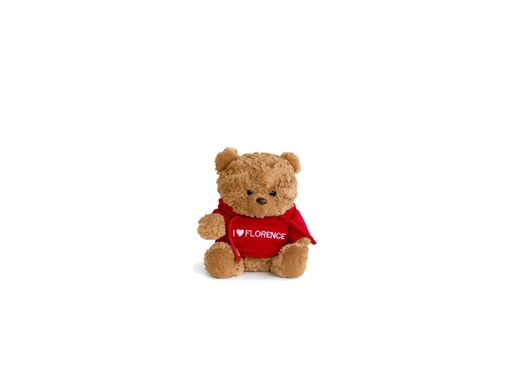 [PLDD0037] Plush Teddy Small - I♥Florence