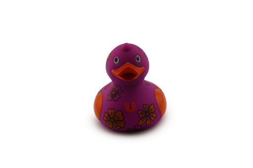 Luxury Friendship Duck