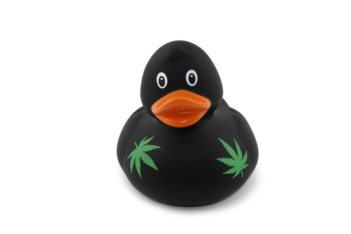 [RBDD0032] Black Duck With Weed